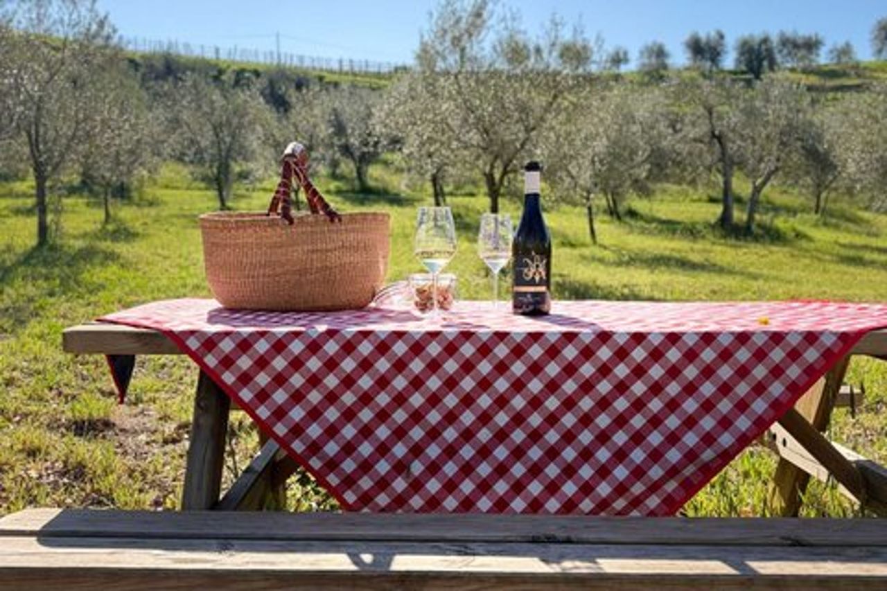 Picnic in vigna in una cantina familiare vicino Orvieto