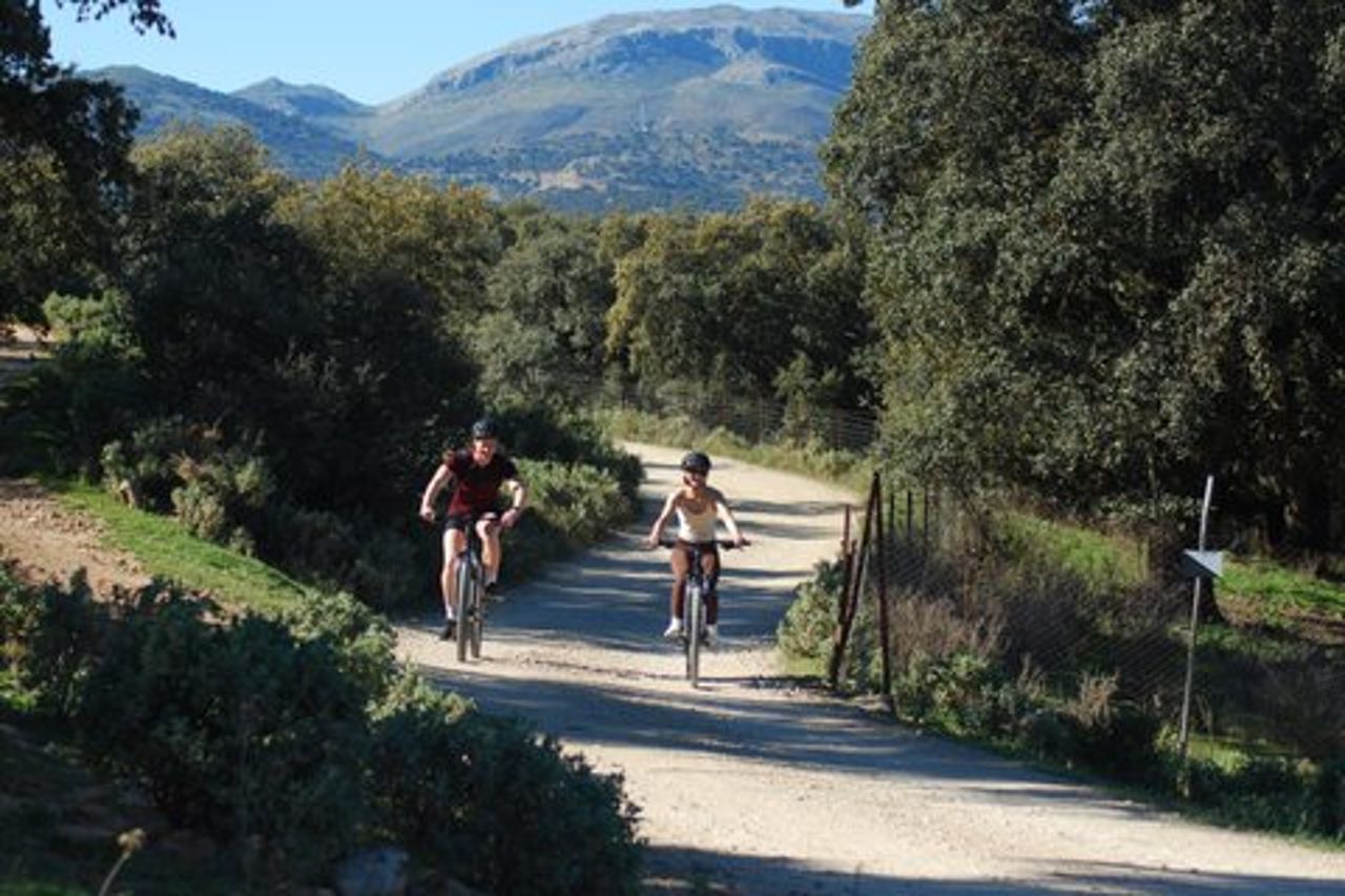 Tour in e-bike da Ronda a Setenil de las Bodegas