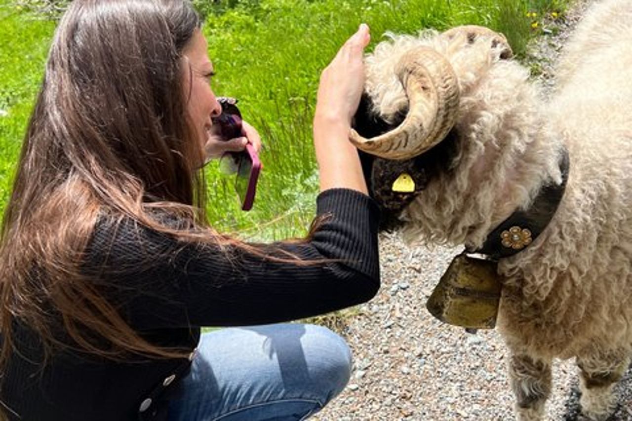 Facile passeggiata sul Cervino e storie nascoste di Zermatt