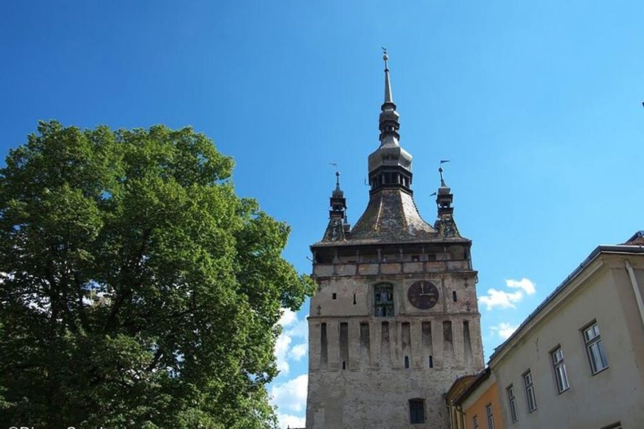Escursione giornaliera privata Patrimonio UNESCO da Sibiu — 3