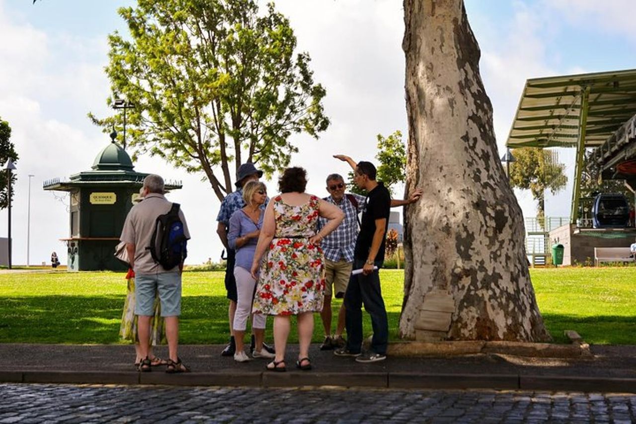 Vecchio tour a piedi di Funchal — 2