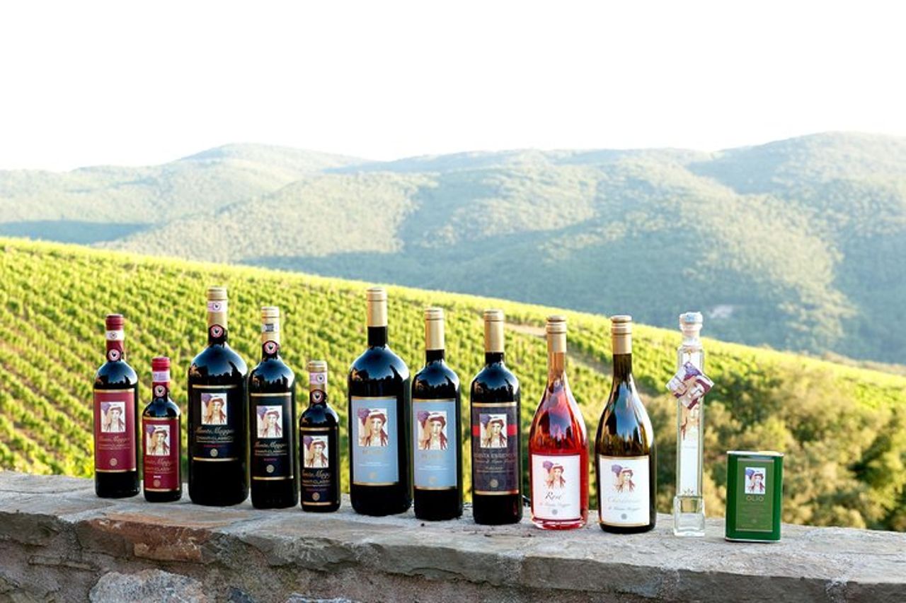 Tour e degustazione presso un'azienda vinicola biologica nel cuore del Chianti Classico — 3