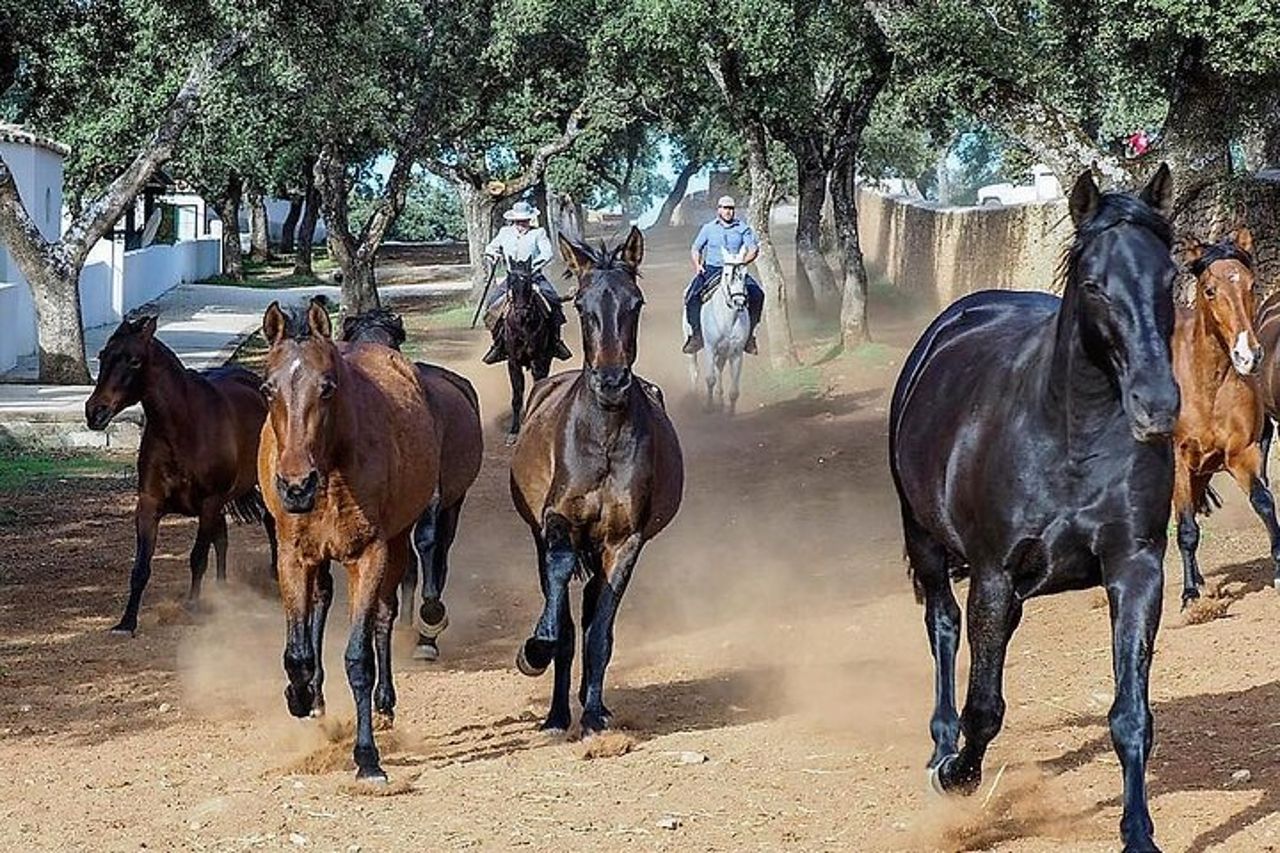 Visita en exclusiva con los 5 sentidos — 3