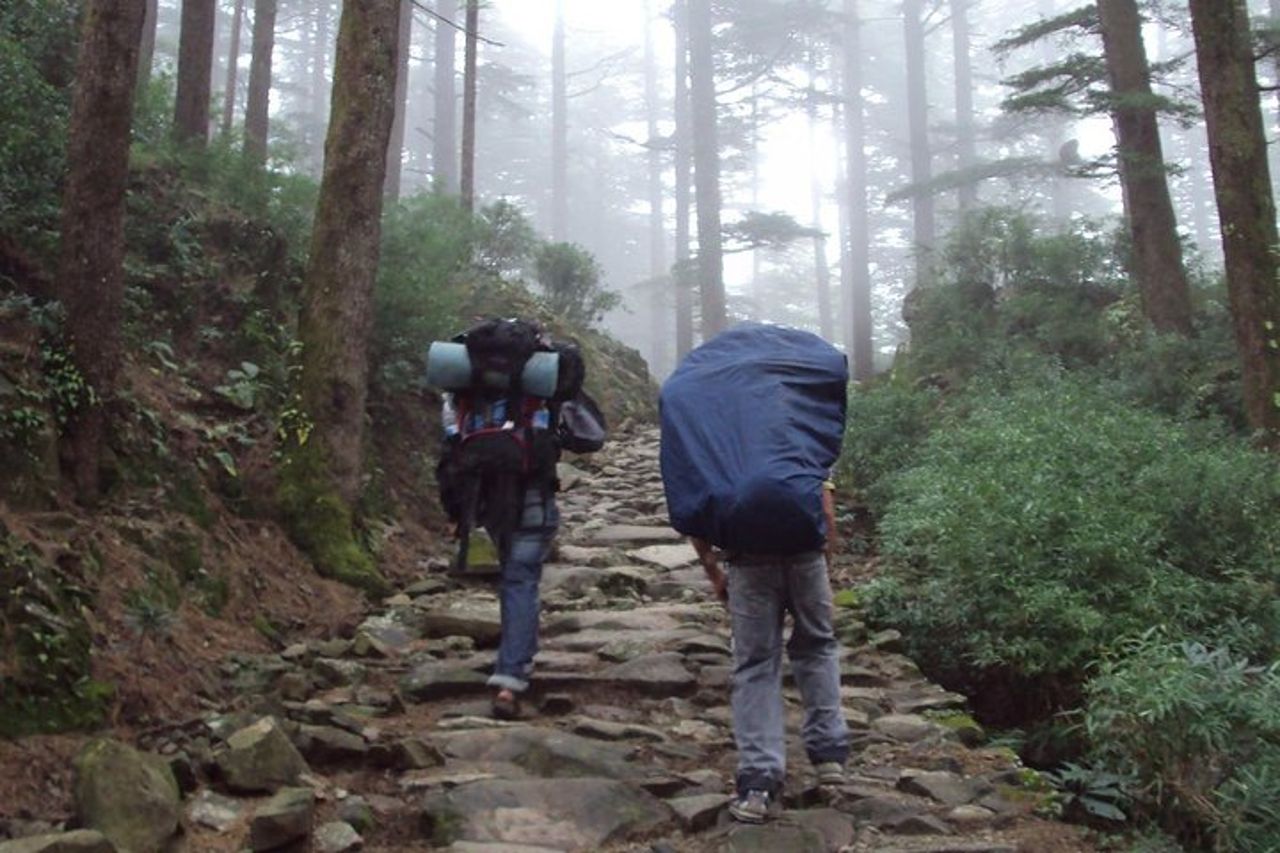 Escursione Giornata Tour a Triund da Dharamshala — 2