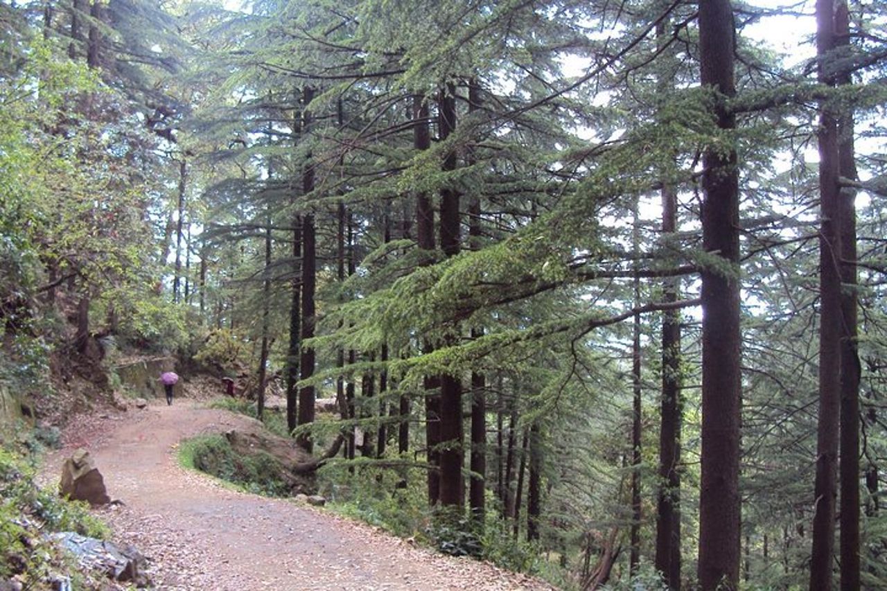 Circuito guidato di Kora e tour a piedi intorno a McLeod Ganj — 6