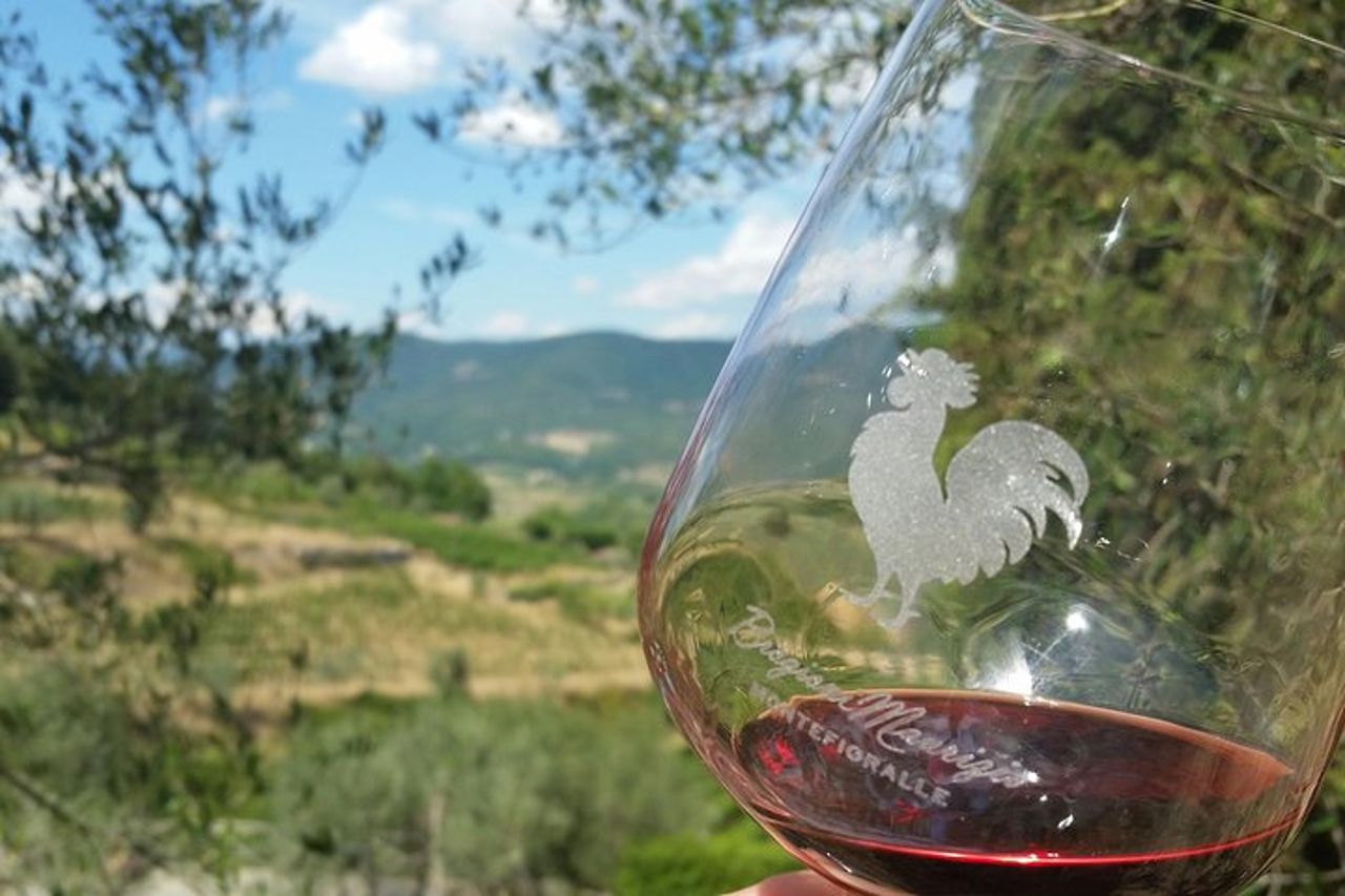 Degustazione di vini e visita della cantina a Greve in Chianti — 2
