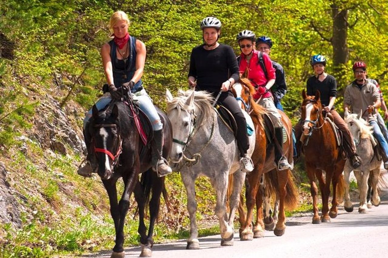 Tour panoramico a cavallo da San Juan — 4