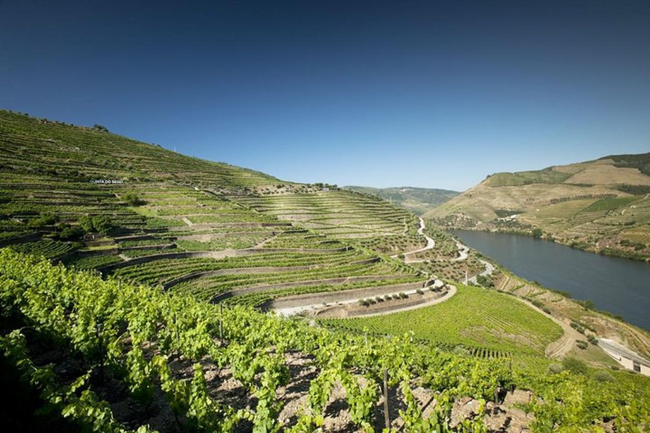 Gita di un giorno nella Valle del Douro e nel vino da Porto — 5