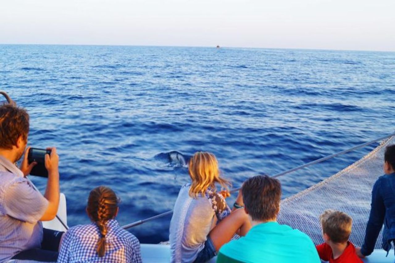 Gita in barca all'alba a Maiorca con Dolphin-Watching — 3