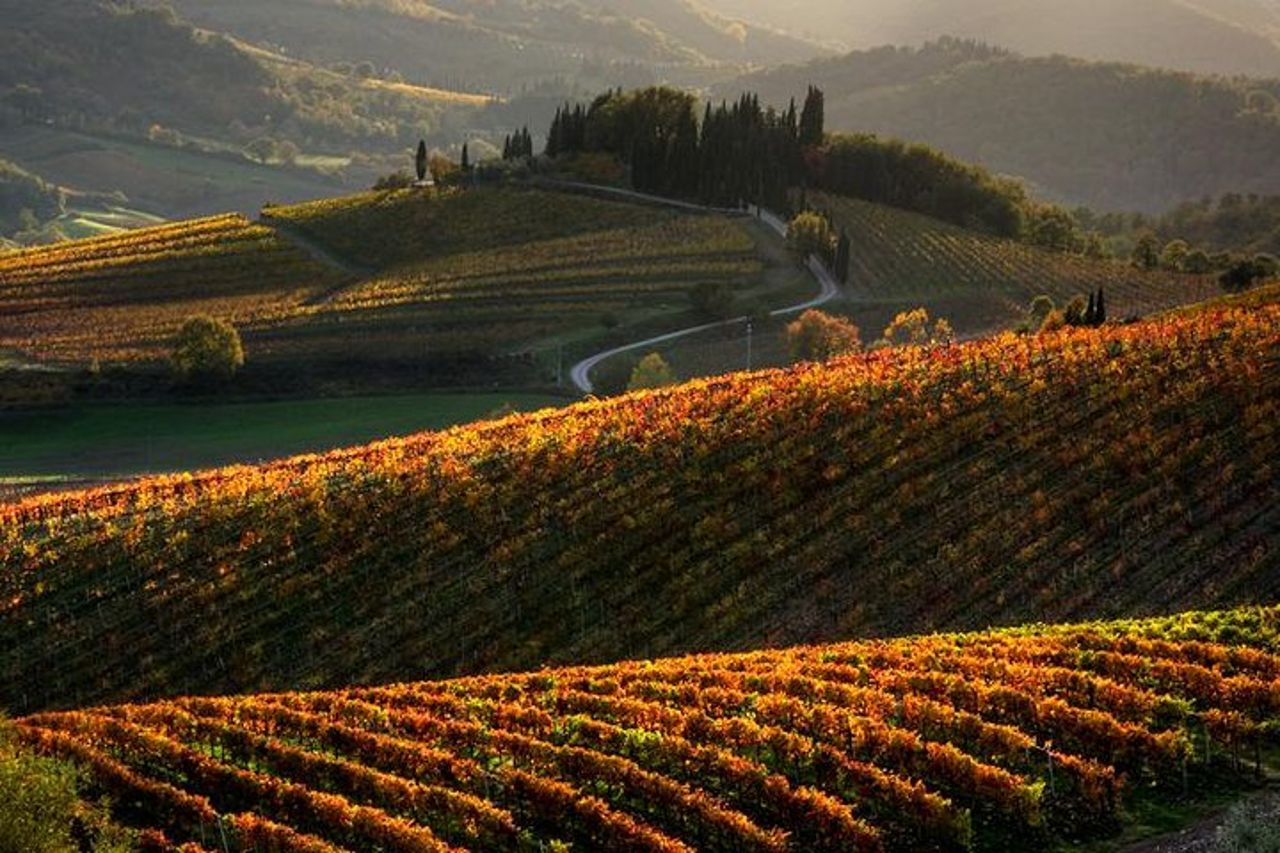 Escursione in Toscana da Siena con degustazione di vini — 3