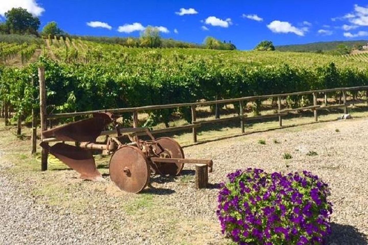 Tour per piccoli gruppi di mezza giornata del vino Chianti e Vinci da Montecatini Terme