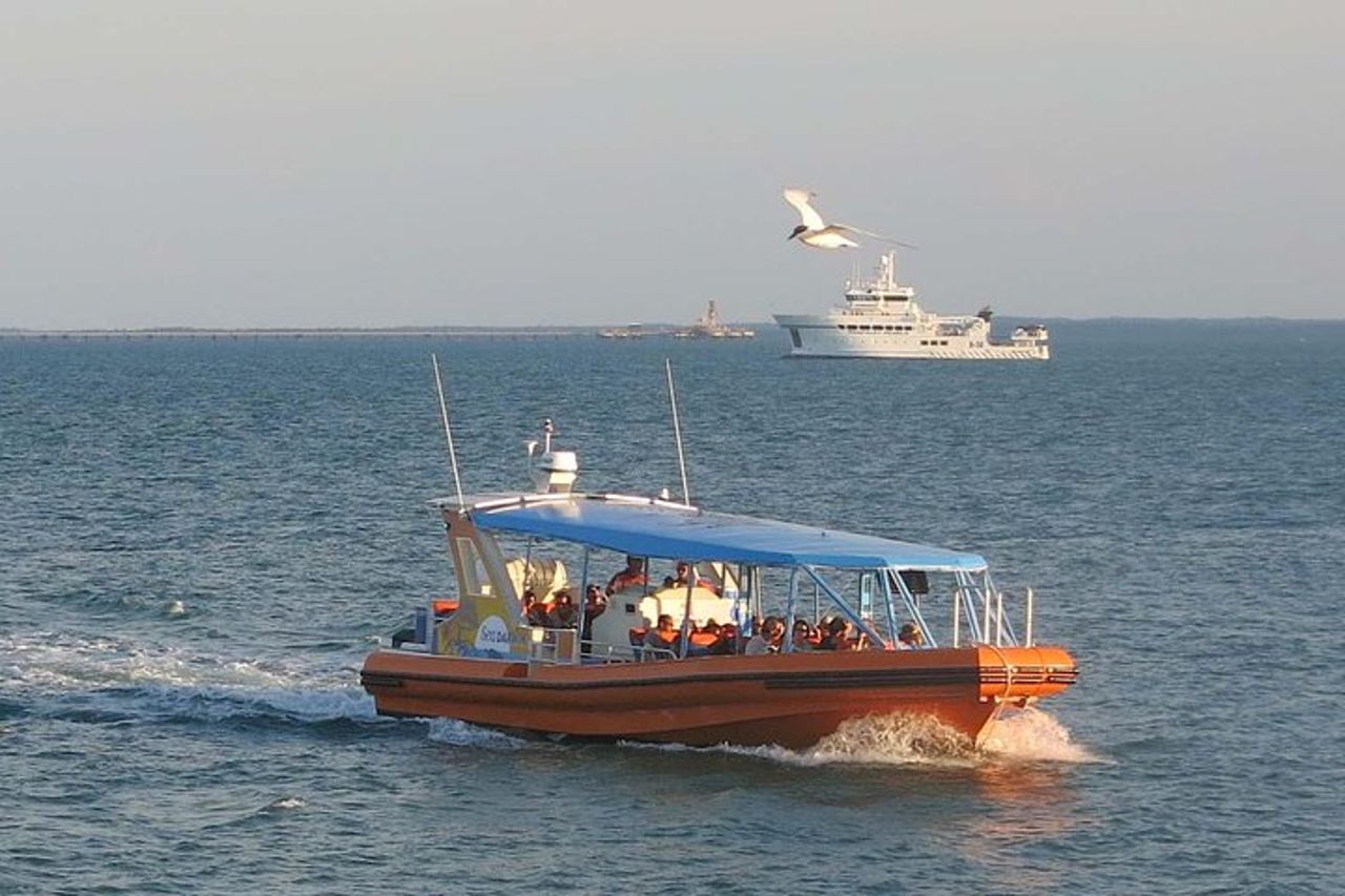 Scopri il porto di Darwin Crociera nel porto di Darwin di 1 ora — 2