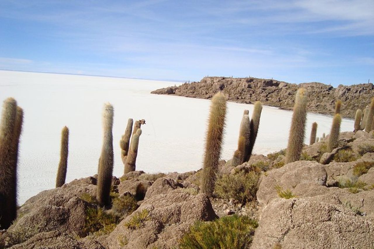 3D 2N Uyuni Salt Flats in volo da La Paz a Atacama, Cile — 8