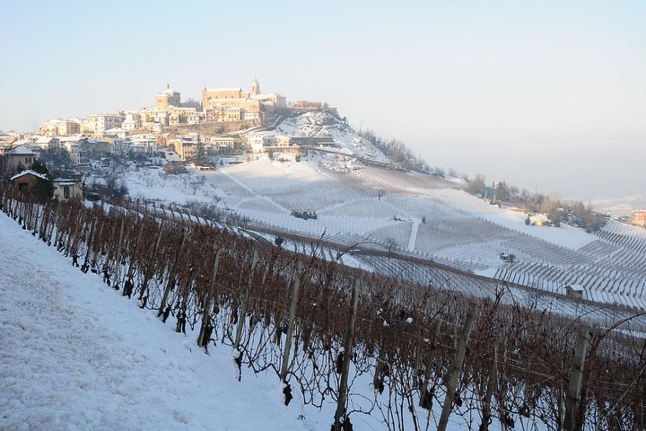 Tour privato da Torino: intera giornata nella regione delle Langhe con i suoi colori e sapori — 4