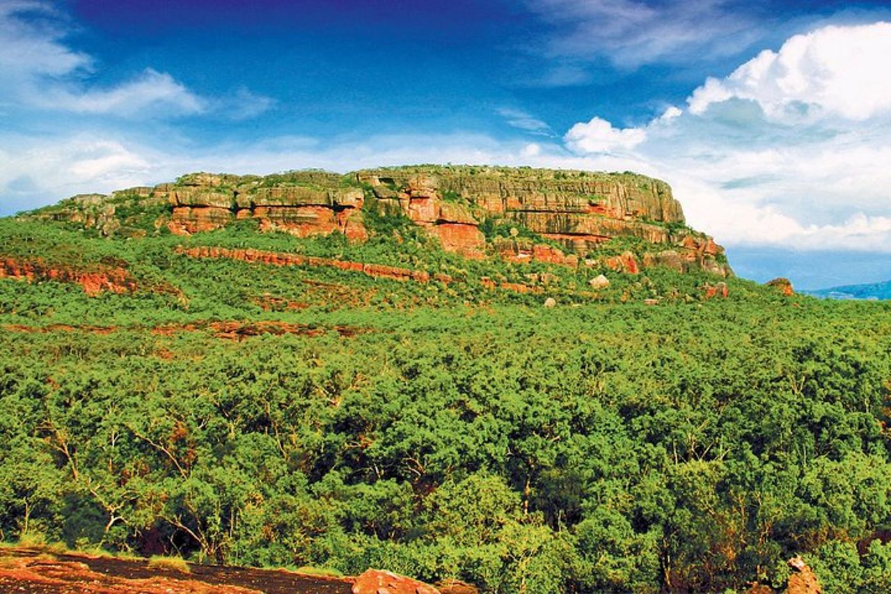 Darwin : Kakadu & Nourlangie Trip Plus Crociera Billabong con pranzo — 4