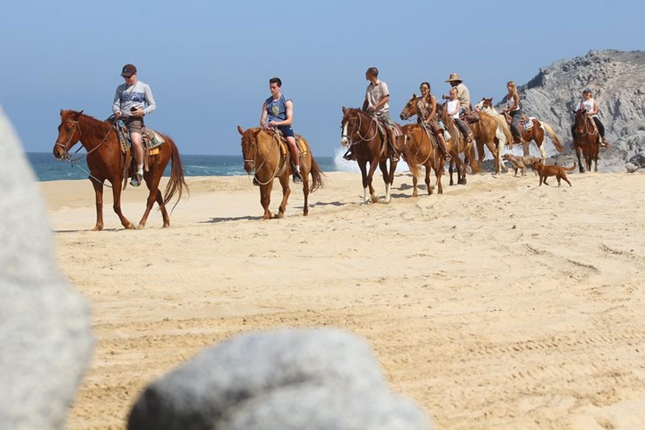 Tour a cavallo a Cabo San Lucas — 3