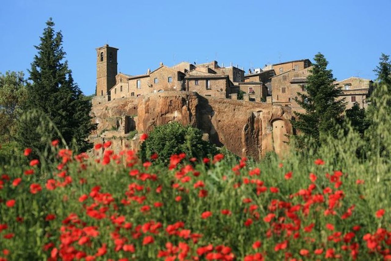 Tour guidato di un giorno ad Assisi e Orvieto da Roma con pranzo — 3