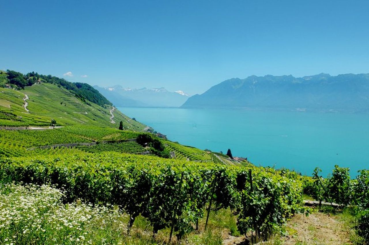 Tour privato della Riviera Svizzera da Ginevra — 7