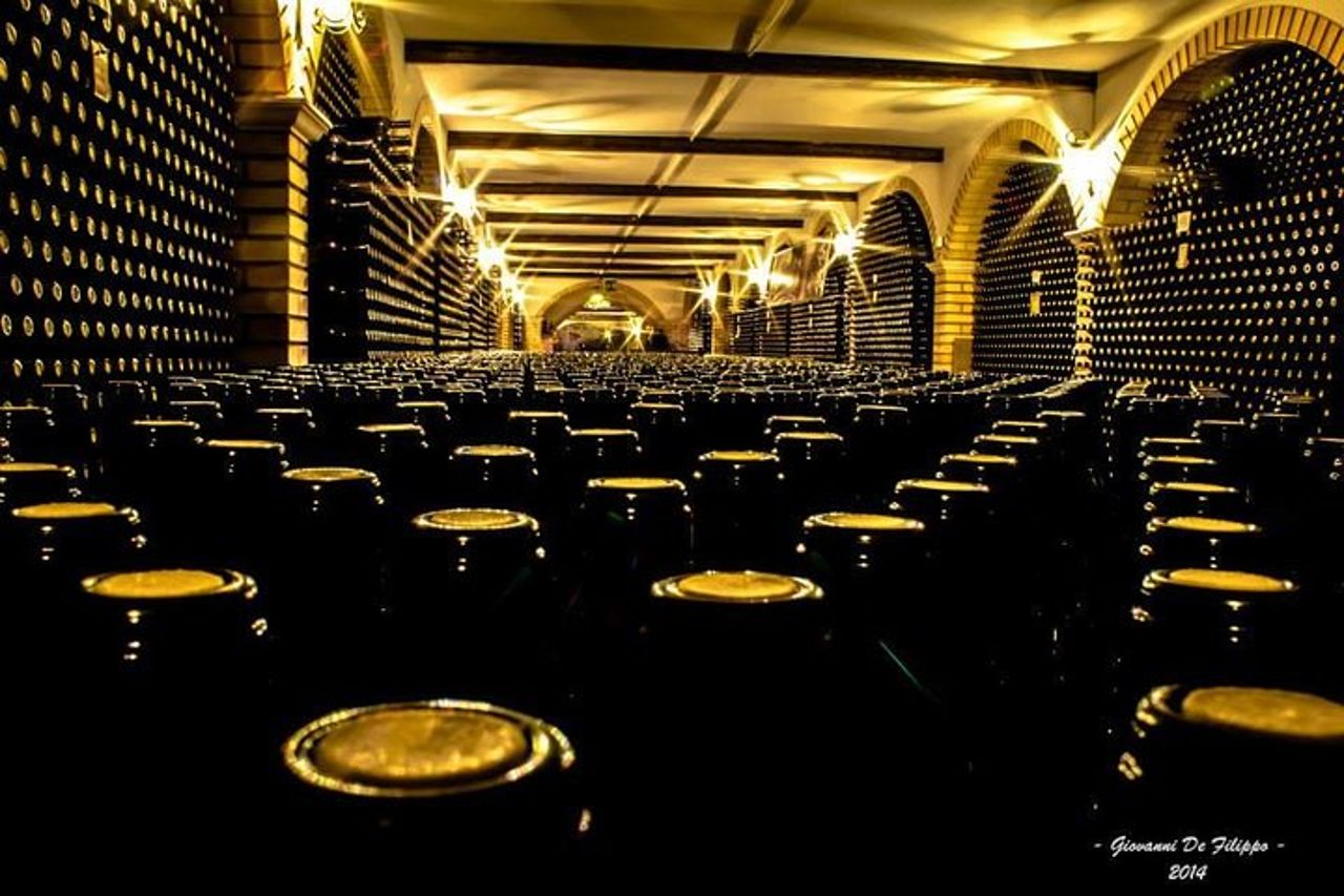 Cantine Bosco Nestore - Wine tour e Degustazione — 2