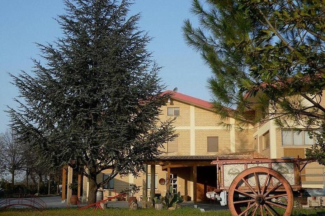 Cantine Bosco Nestore - Wine tour e Degustazione — 3