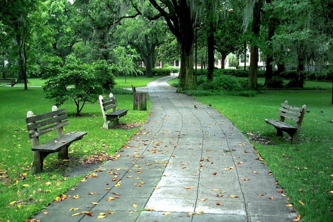Savannah Stroll: tour guidato a piedi e storia di Savannah — 3