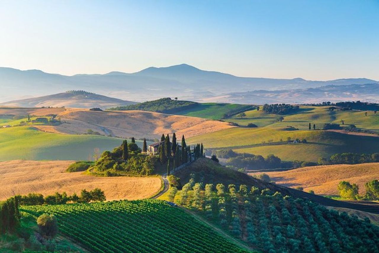Tour del brunello di Montalcino da San Gimignano — 5