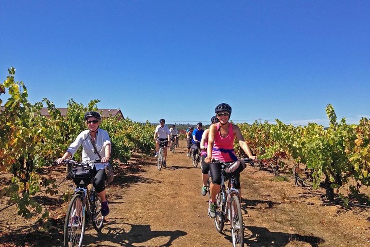 Tour del vino in bicicletta di Healdsburg — 7