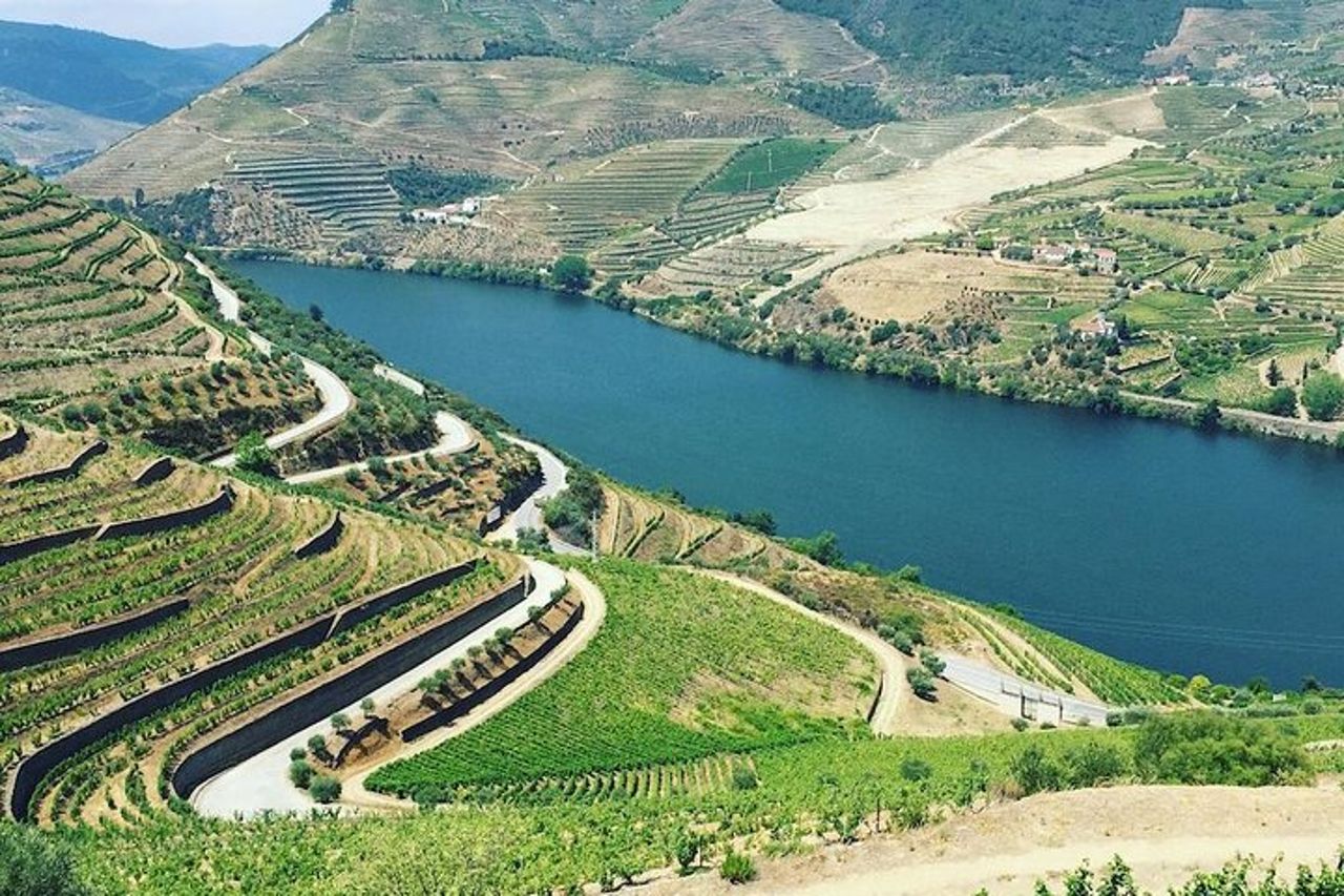 Tour enogastronomico della Valle del Douro privato da Porto — 5