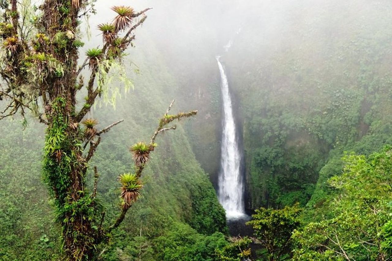 Tour combinato di un giorno al vulcano Arenal con pranzo e cena