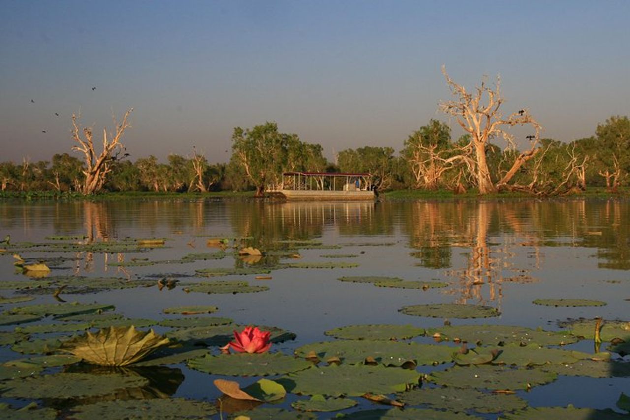 Crociere sulla zona umida di Corroboree Billabong - Crociera al tramonto di 2 ore — 2