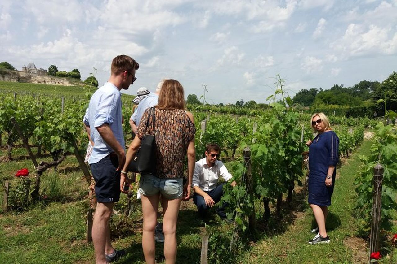 Saint Emilion Wine Tour Degustazione Mezza giornata da Bordeaux — 7