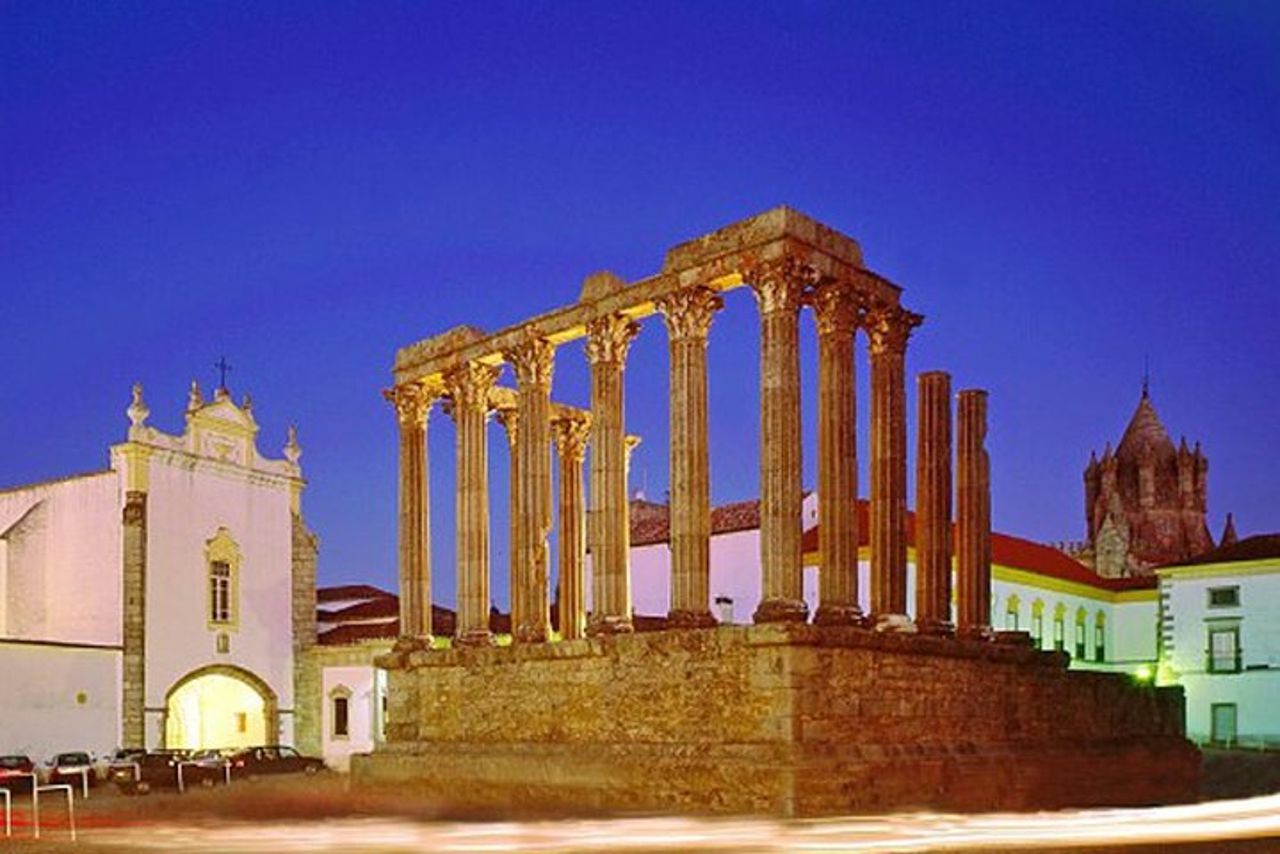 Tour privato di un'intera giornata a Evora | Sughero, vino e olio d'oliva