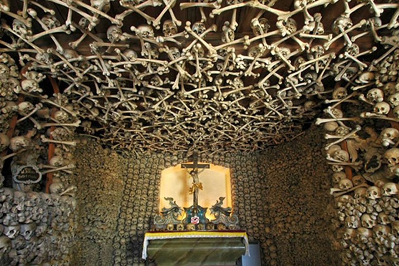 Tour privato di un'intera giornata a Evora | Sughero, vino e olio d'oliva — 3