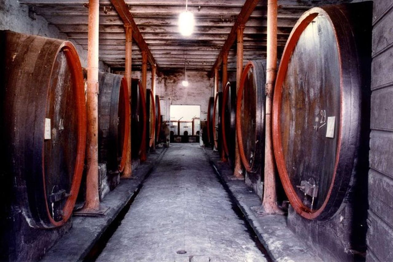 Montefalco : Visita storica della cantina e dei vigneti con degustazione di vini