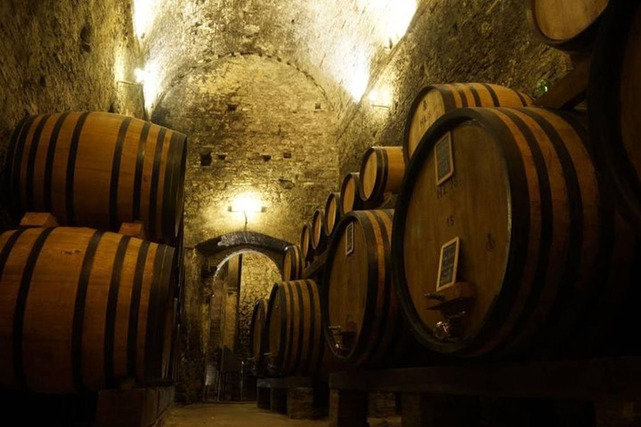 Tour e Degustazione in Una delle Cantine più Belle del Mondo — 3