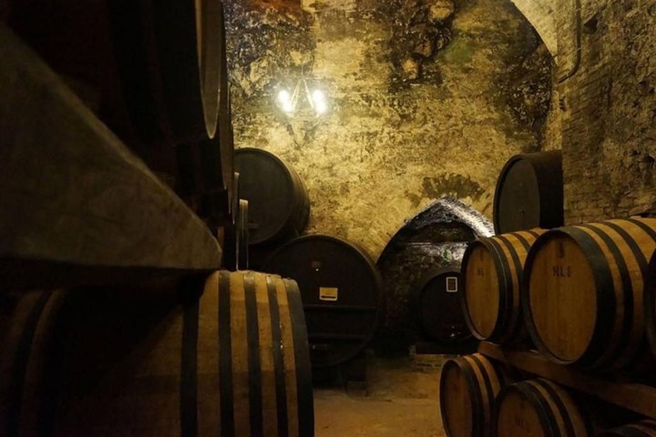 Tour e Degustazione in Una delle Cantine più Belle del Mondo — 7