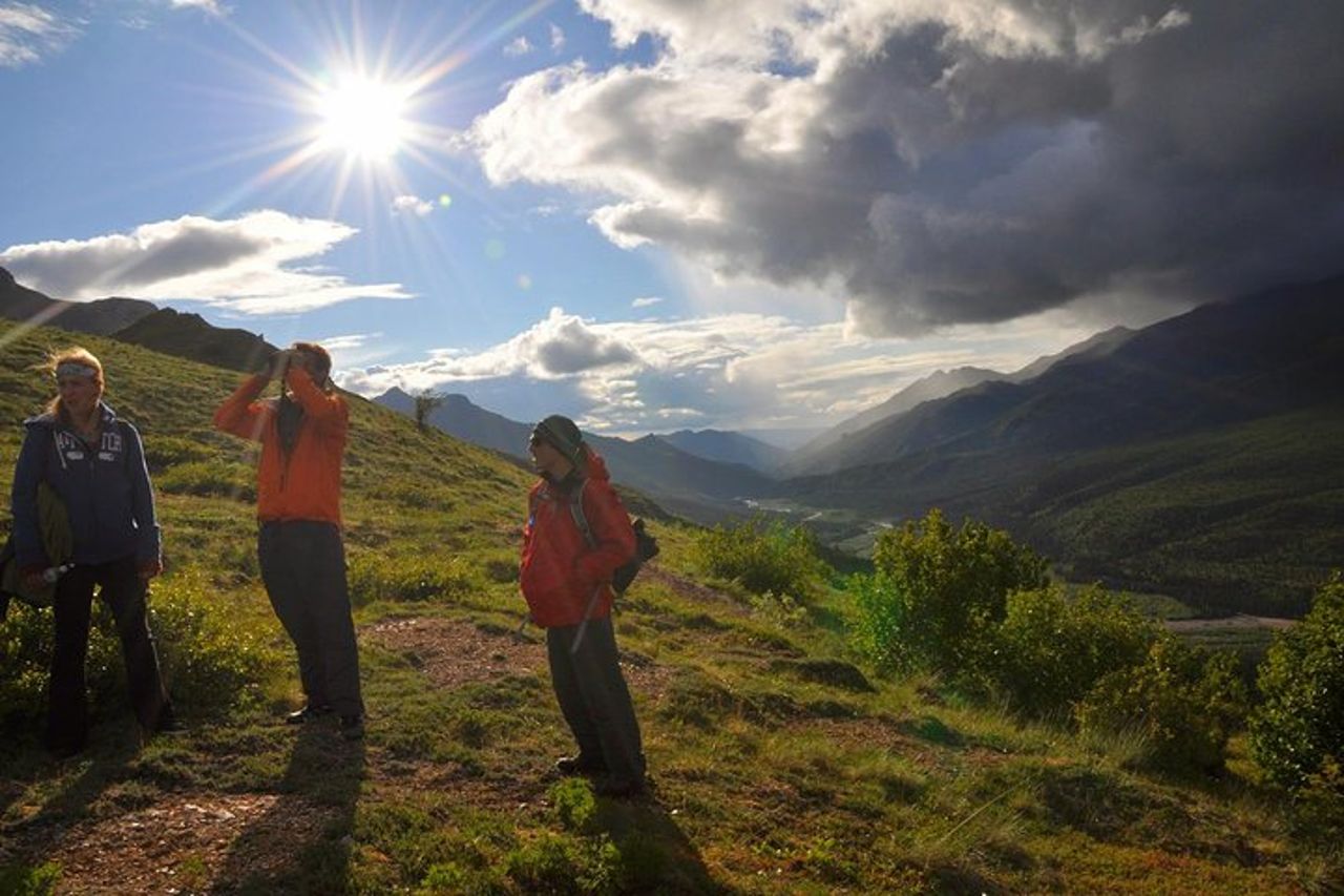 Tour a piedi di 5 ore a Denali con Guida Naturalista — 2
