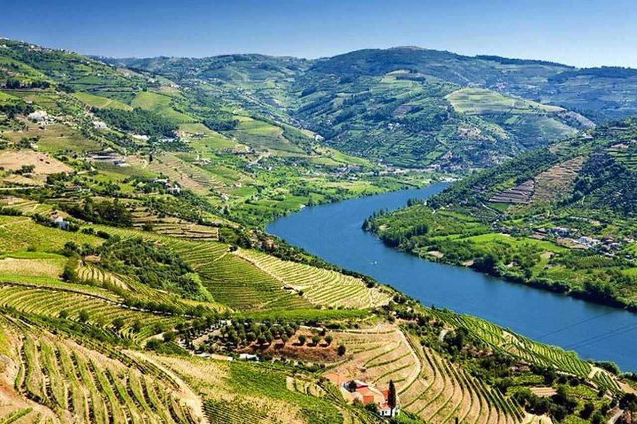 Tour completo del vino della Valle del Douro con pranzo, degustazioni di vini e crociera sul fiume — 2