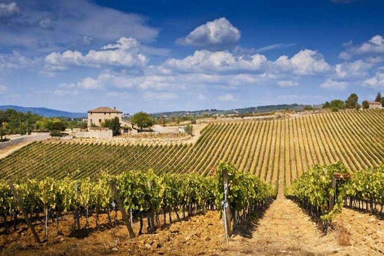 Da Firenze : Borghi Classici del Chianti e Strade del Vino in Minivan — 5