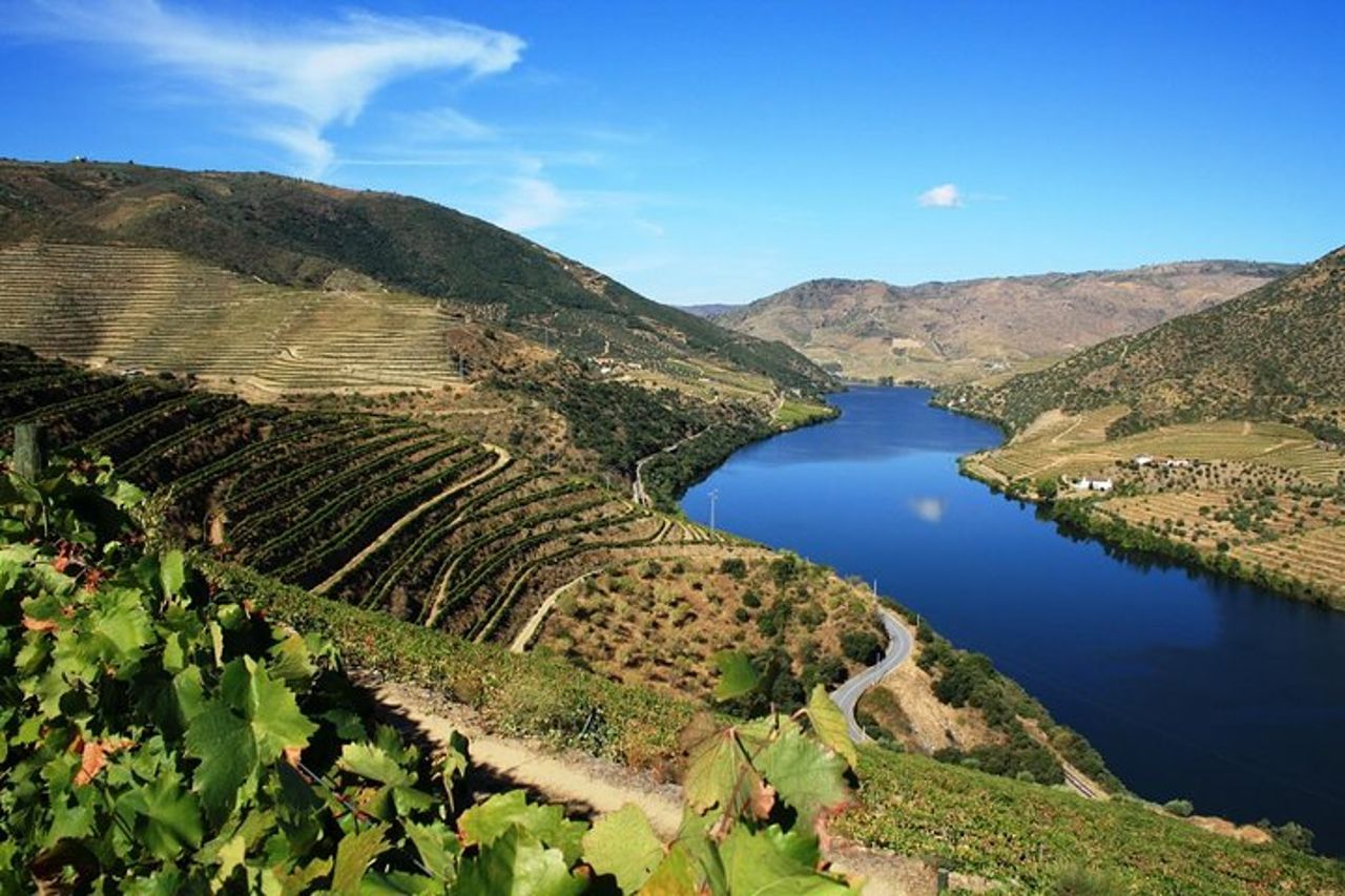 Tour dei vini della Valle del Douro: 3 visite ai vigneti, degustazioni di vini, pranzo — 9