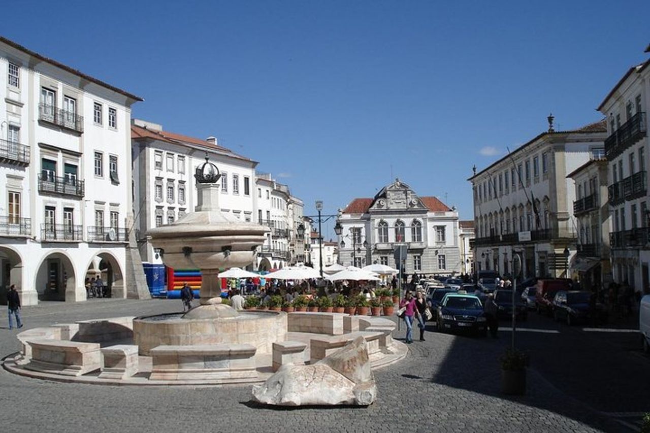 Tour privato di degustazione di vini Evora e Monsaraz
