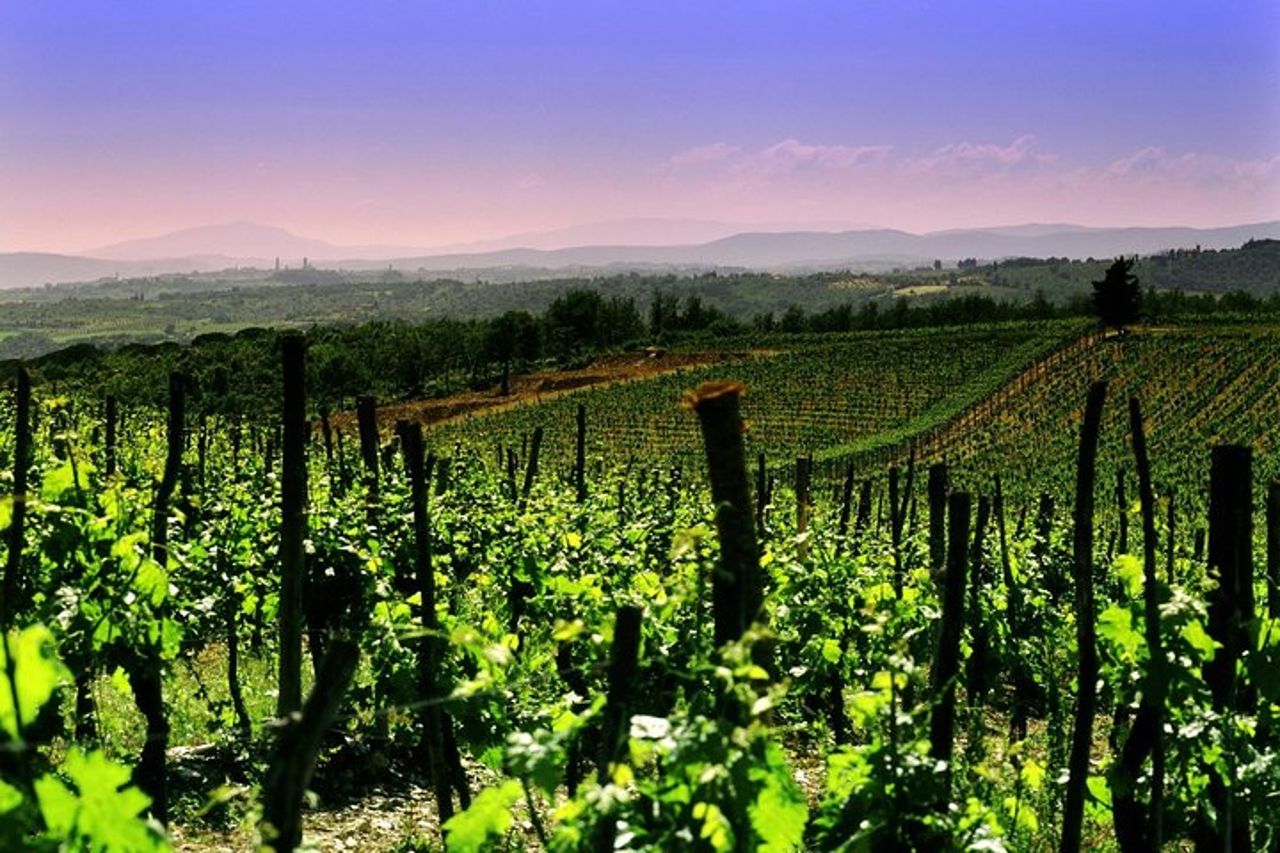Tour privato di 8 ore in cantina in Franciacorta e Bergamo da Milano