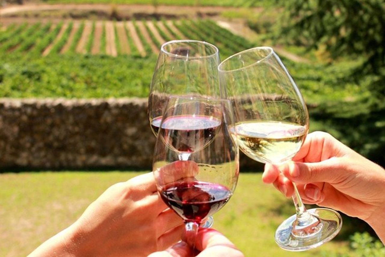 Gita di un giorno: tour privato di Orvieto e Civita Di Bagnoregio + tour del vino con pranzo — 9