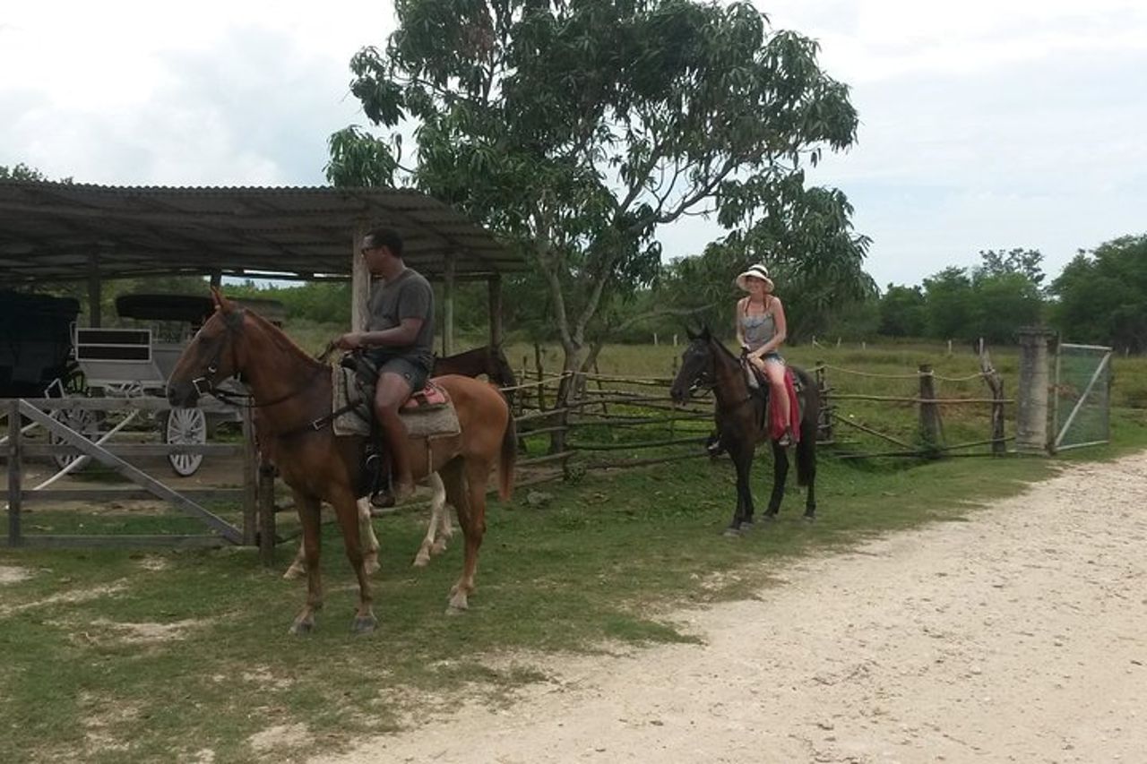 Combo di Horseback Ride e Mayfield Falls da Negril