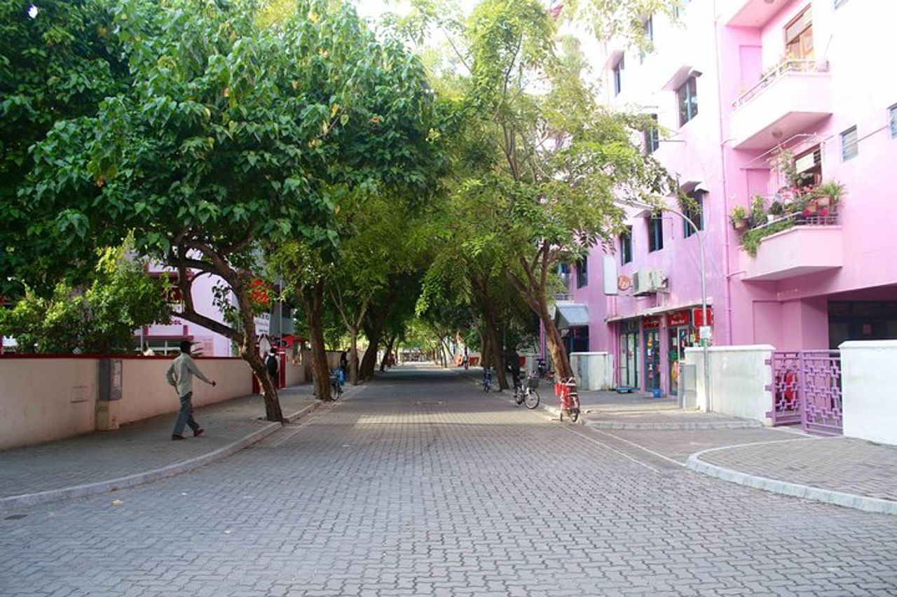 Tour ecologico originale di mezza giornata al Villimale da Malé — 5