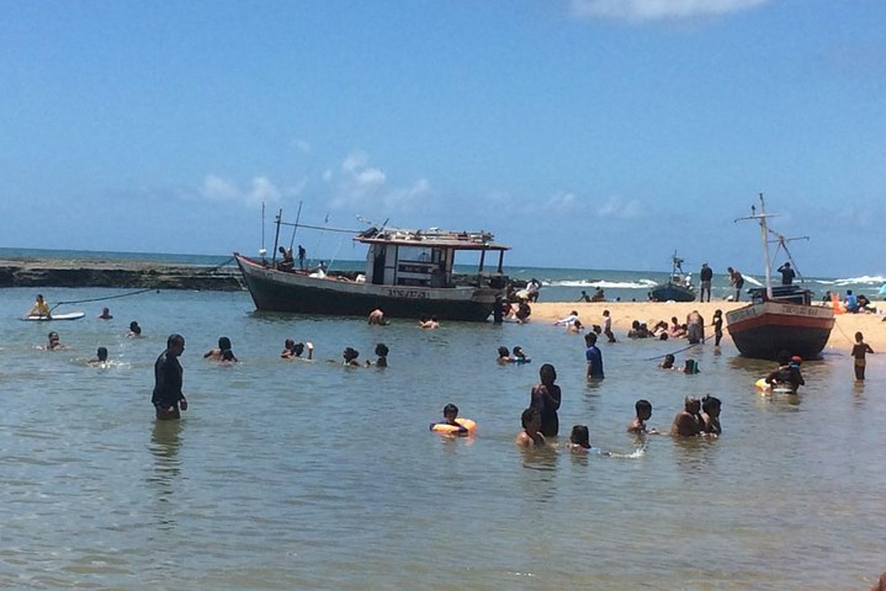Tour di un'intera giornata in spiaggia da Salvador a Praia do Forte — 7