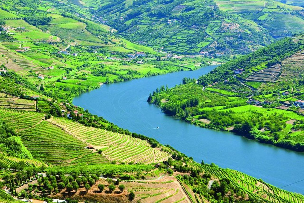 Valle del Douro con due aziende vinicole, gita in barca e pranzo da Porto — 3
