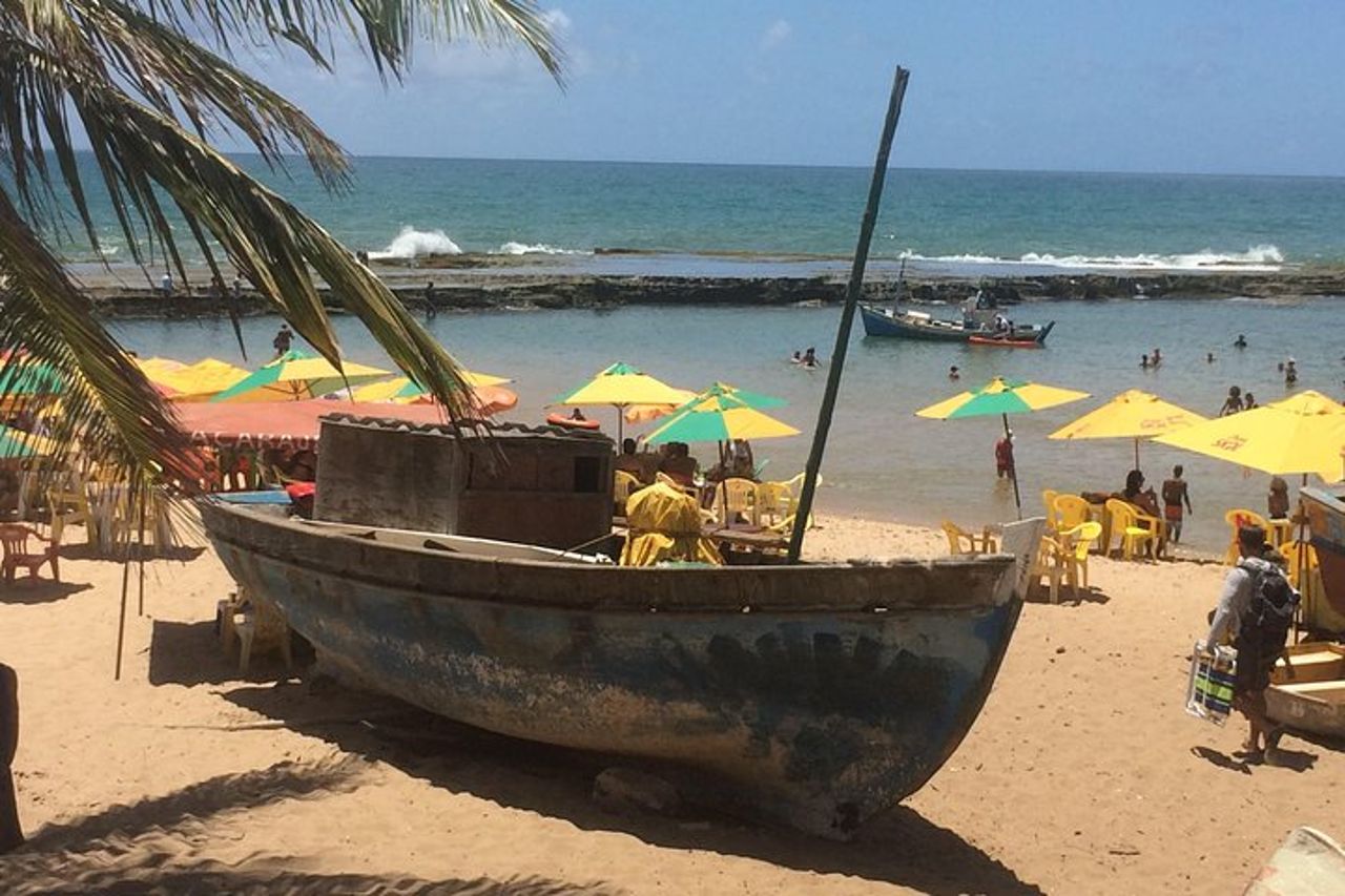 Tour di un'intera giornata in spiaggia da Salvador a Praia do Forte — 6