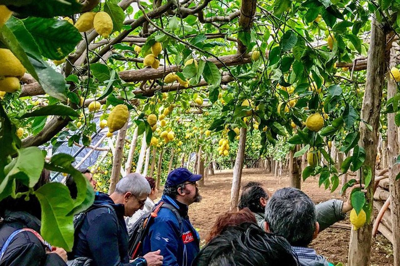 Tour privato: il sentiero dei limoni — 6