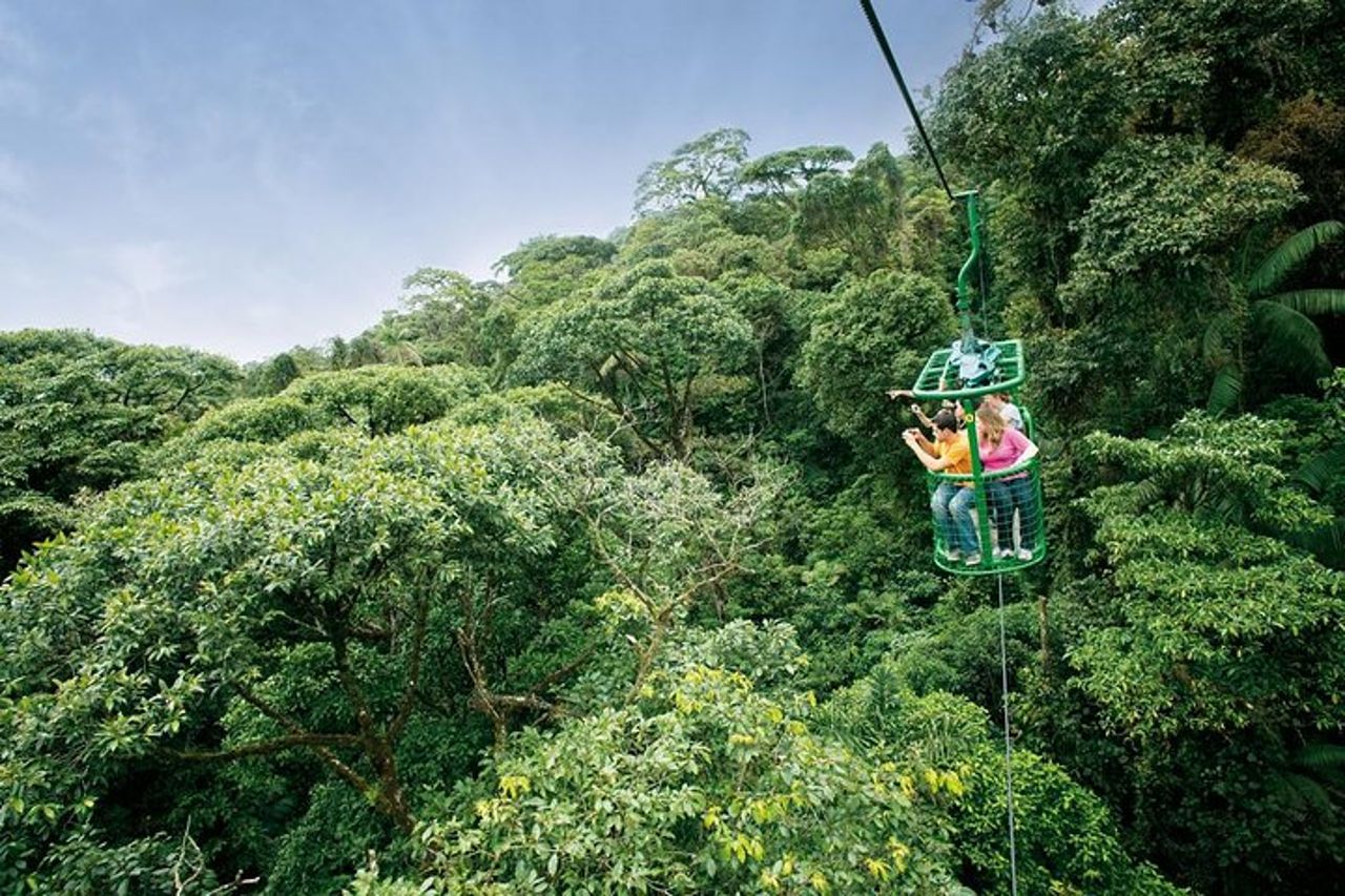 6 in 1 Adventure Rainforest da San Jose